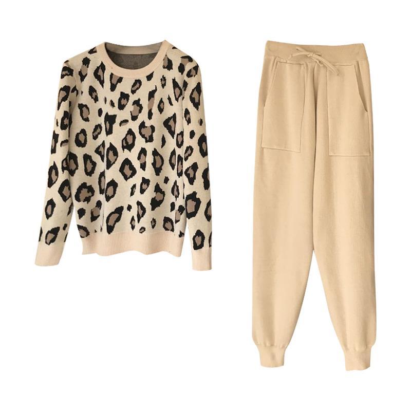Daily Street Women's Casual Simple Style Leopard Rayon Spandex Polyester Pants Sets Pants Sets display picture 3
