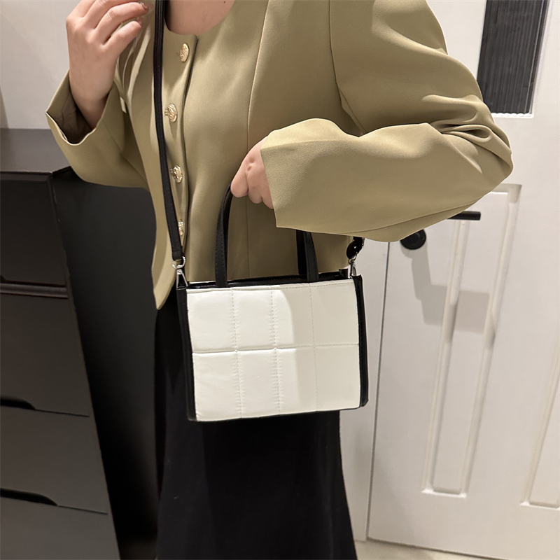 Frau Pu-leder Einfarbig Klassischer Stil Quadrat Reißverschluss Handtasche display picture 7