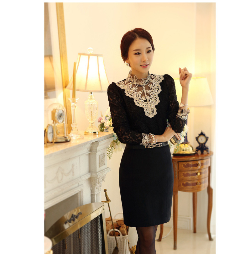 Women's Blouse Long Sleeve Blouses Lace Transparent Elegant Basic Classic Style Simple Solid Color display picture 2