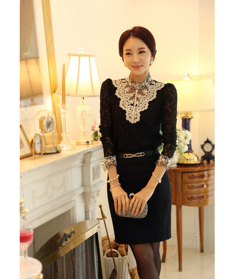 Women's Blouse Long Sleeve Blouses Lace Transparent Elegant Basic Classic Style Simple Solid Color display picture 1