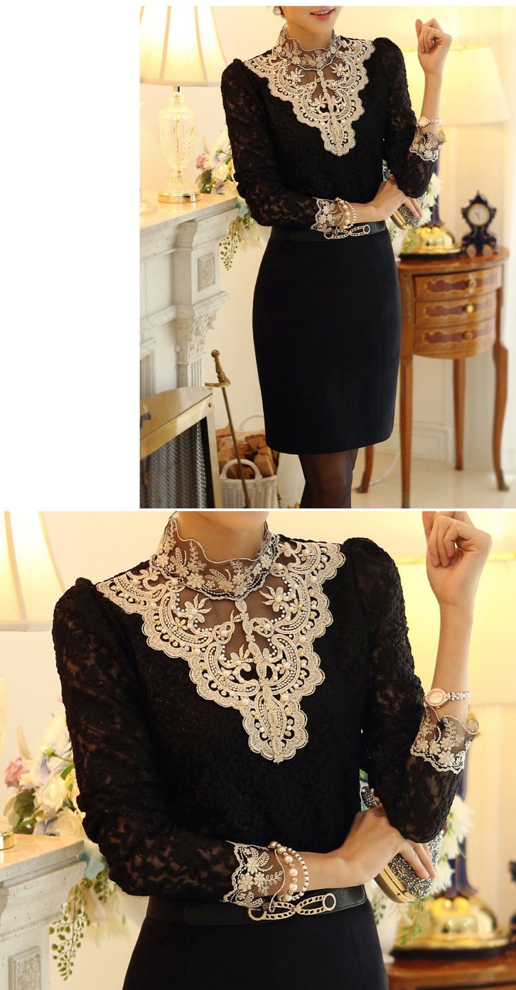 Women's Blouse Long Sleeve Blouses Lace Transparent Elegant Basic Classic Style Simple Solid Color display picture 6